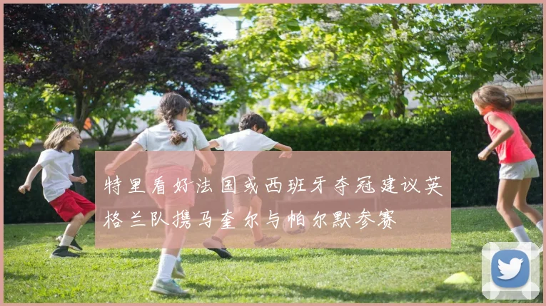 特里看好法国或西班牙夺冠建议英格兰队携马奎尔与帕尔默参赛