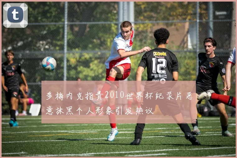 多梅内克指责2010世界杯纪录片恶意抹黑个人形象引发热议