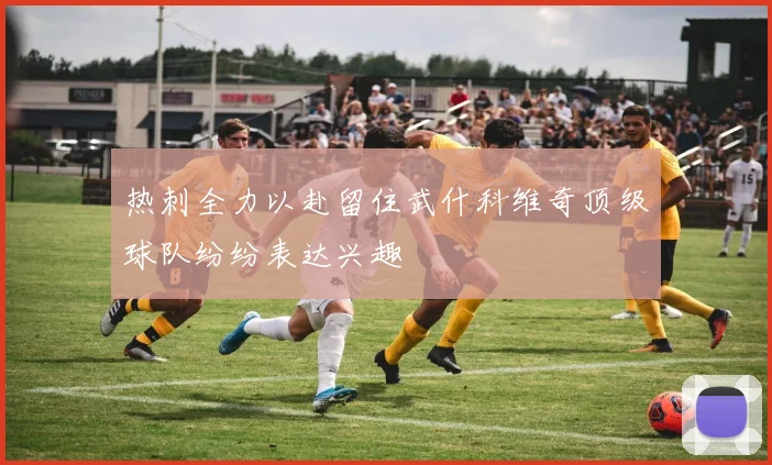 热刺全力以赴留住武什科维奇顶级球队纷纷表达兴趣