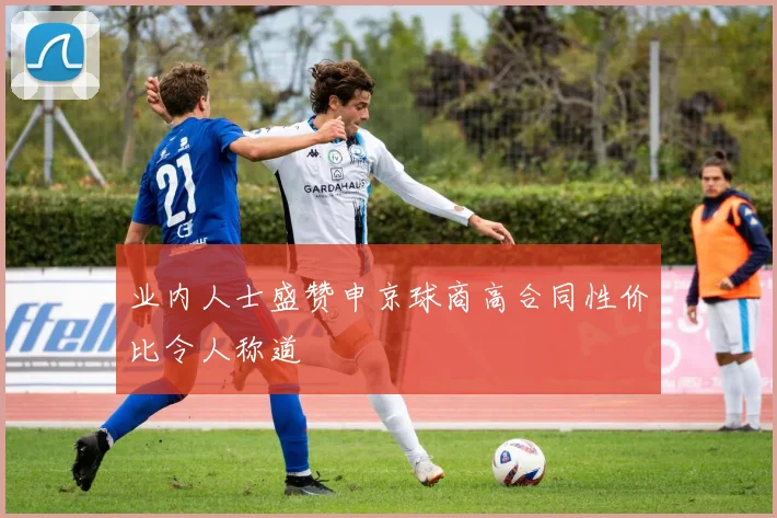 业内人士盛赞申京球商高合同性价比令人称道